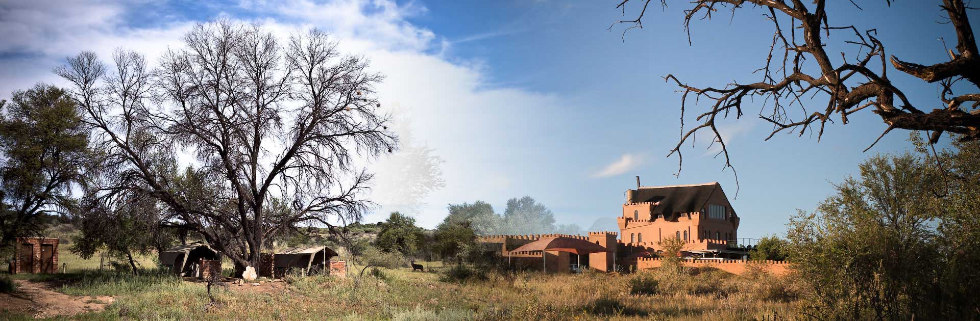Sweet Thorn Retreat